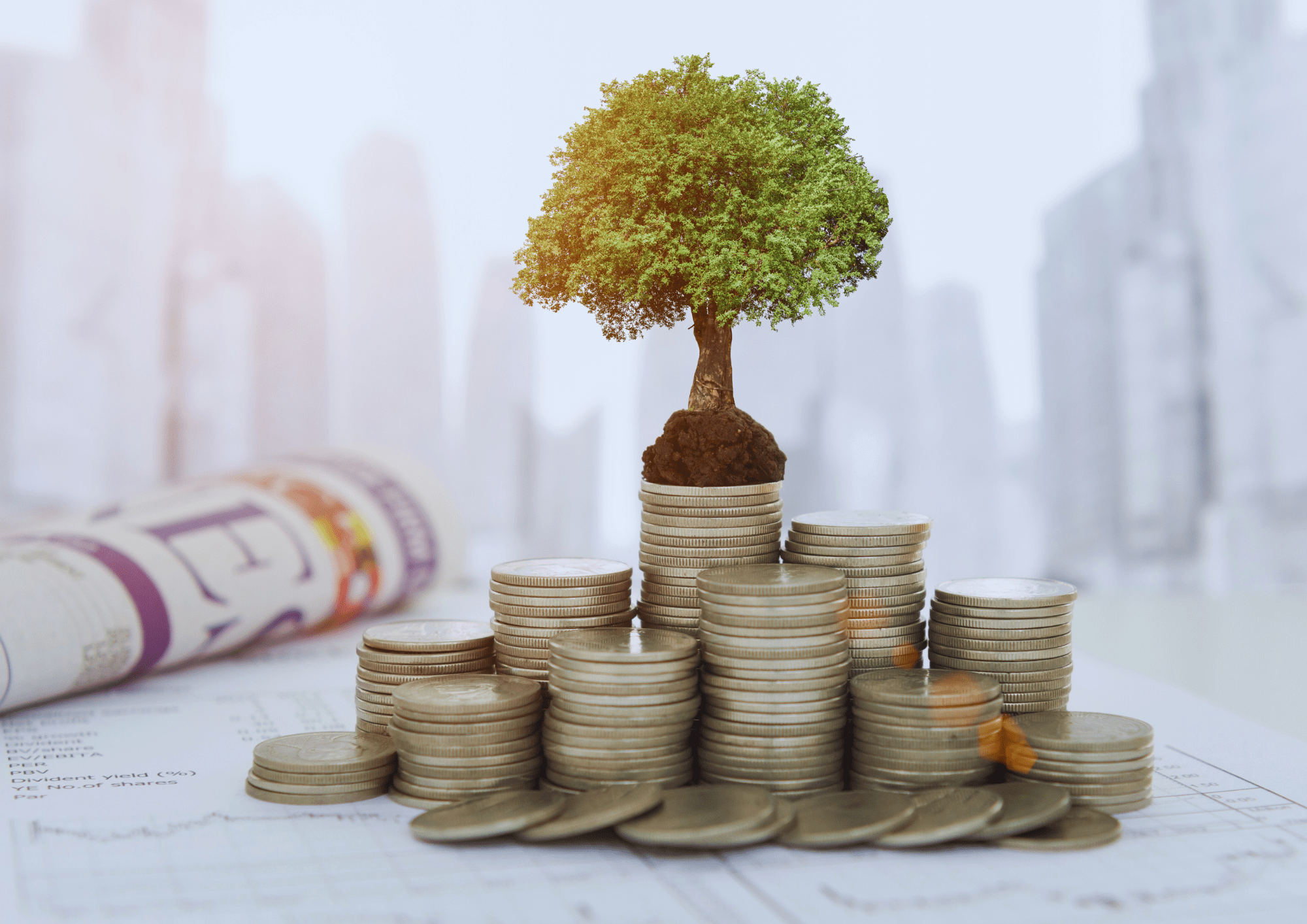 Commercial Investment